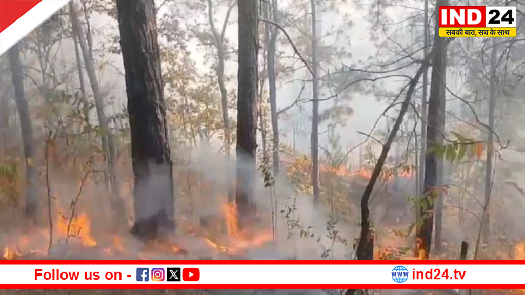 चंपावत में बढ़ी जंगलों में आग की घटनाएं, वन विभाग अलर्ट; 24 घंटे निगरानी और सख्त कार्रवाई की चेतावनी