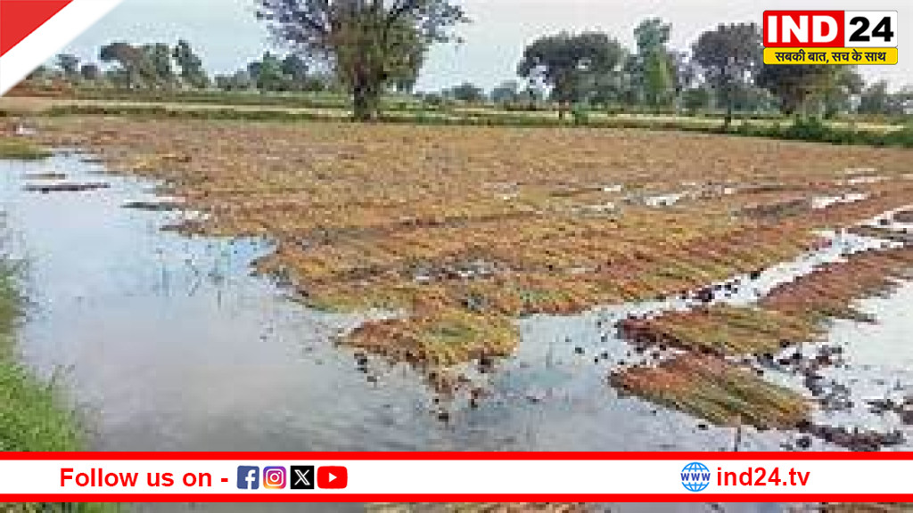 अप्रैल में सावन की दस्तक: उत्तर भारत में बारिश, ओलावृष्टि और बर्फबारी से बदला मौसम का रुख