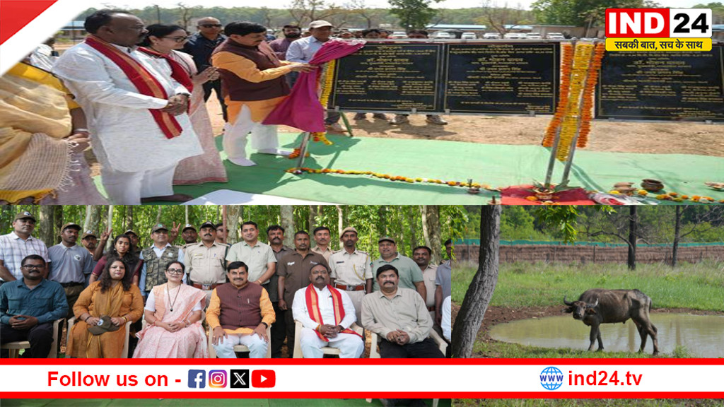 प्रदेश में जंगली भैंसा प्रजाति का पुनर्स्थापन एक ऐतिहासिक अवसर-मुख्यमंत्री डॉ. मोहन यादव
