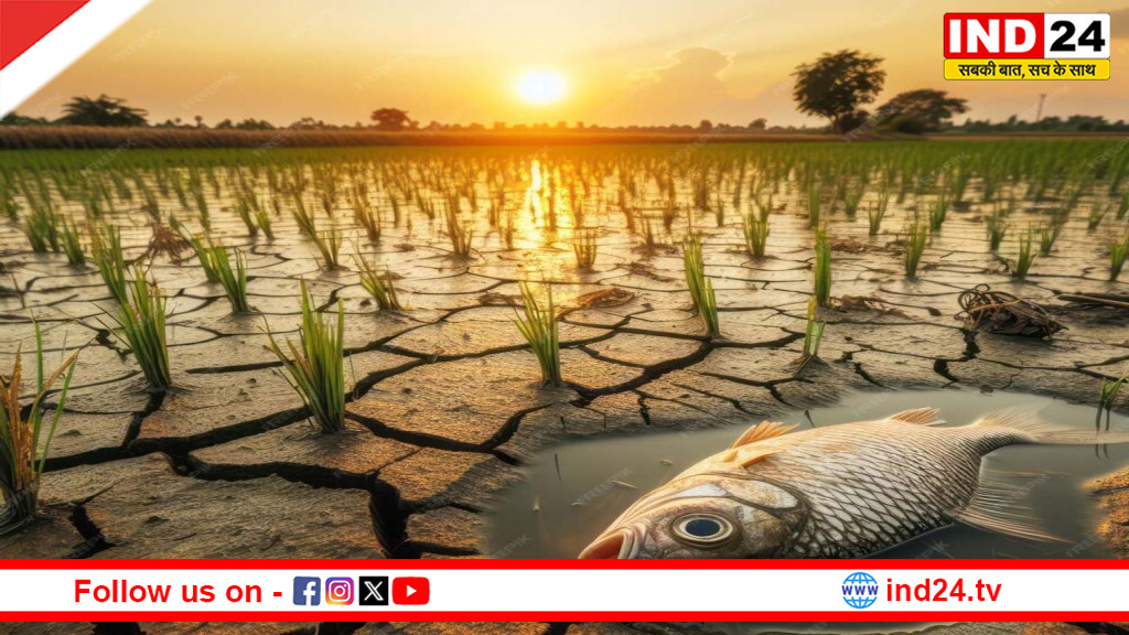 हीटवेव और सूखे का डबल अटैक: शताब्दी के अंत तक तपती धरती का खतरा, वैश्विक संकट की चेतावनी