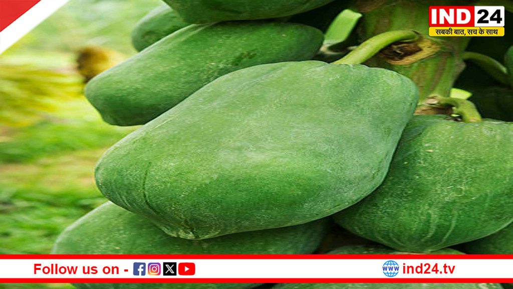 कच्चा पपीता बना सेहत का ‘नेचुरल टॉनिक’, पाचन से लेकर वजन नियंत्रण तक देता है जबरदस्त लाभ