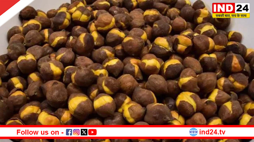 नाश्ते में छुपा ‘जहर’: भुने चनों में खतरनाक डाई से कैंसर का खतरा, जांच में चौंकाने वाले खुलासे