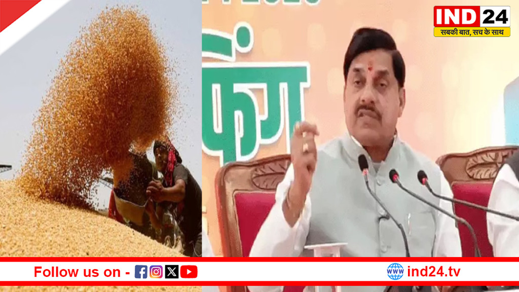 सीएम डॉ. मोहन यादव के प्रयासों का दिखा असर,अब 100 लाख मीट्रिक टन गेहूं खरीदी होगी