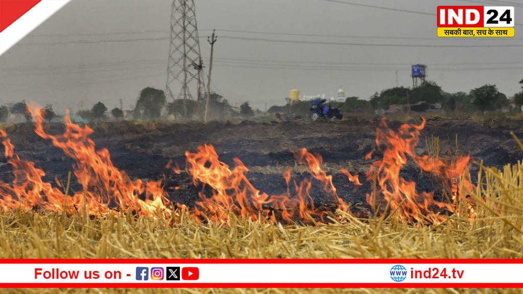 पराली जलाने में फिर अव्वल मध्य प्रदेश: पर्यावरण पर बढ़ता संकट, समाधान की दिशा में ठोस कदमों की दरकार