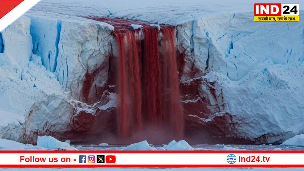 अंटार्कटिका के 'खूनी झरने' का रहस्य सुलझा: ग्लेशियर के नीचे कैद 50 लाख साल पुराने राज आए सामने