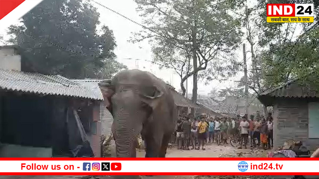 मतदान के बीच झारग्राम में ‘रामलाल’ हाथी पहुंचा, बूथ के पास मची हलचल