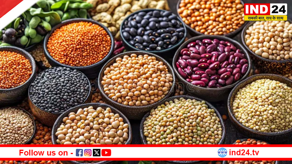किस दाल में सबसे ज्यादा प्रोटीन? सही चुनाव से दूर होगी कमजोरी और थकान
