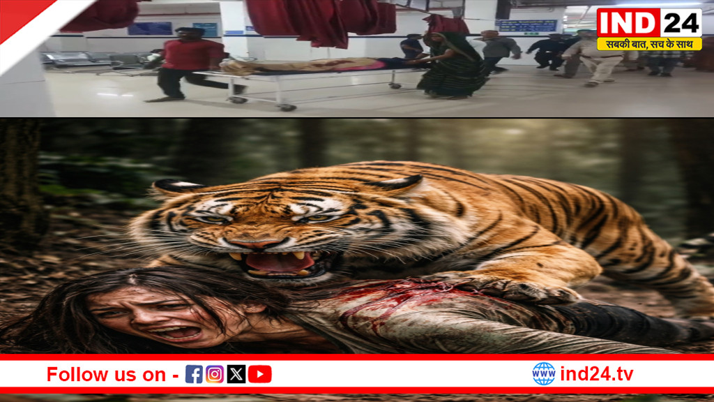 पन्ना में बाघ का हमला: ग्रामीणों ने दिखाई बहादुरी, महिला को जबड़े से छुड़ाया