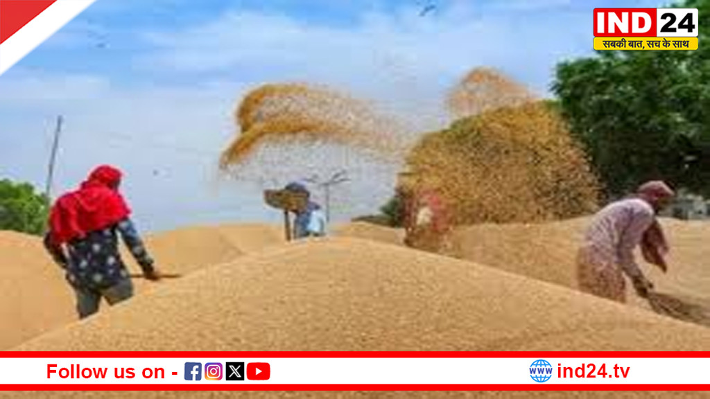 समर्थन मूल्य पर गेहूं खरीदी की तैयारी पूरी, 78 लाख मीट्रिक टन है उपार्जन का लक्ष्य