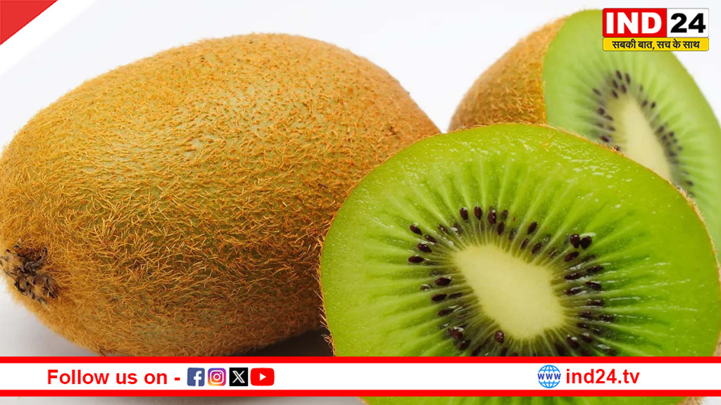 रोजाना कीवी का सेवन: सेहत का प्राकृतिक खजाना, कई रोगों में देता है विशेष लाभ