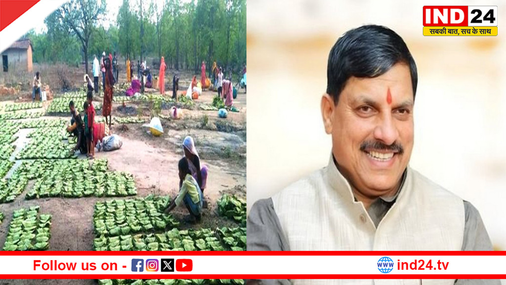 महिला तेंदूपत्ता संग्राहकों के सशक्तिकरण के लिये प्रदेश में संवेदनशील और दूरदर्शी नीतियां - मुख्यमंत्री डॉ. मोहन यादव