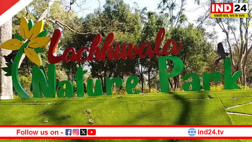 लच्छीवाला नेचर पार्क में वाइल्ड समर फेस्टिवल 2026 की धूम, प्रकृति संग जुड़ने का अनोखा अवसर