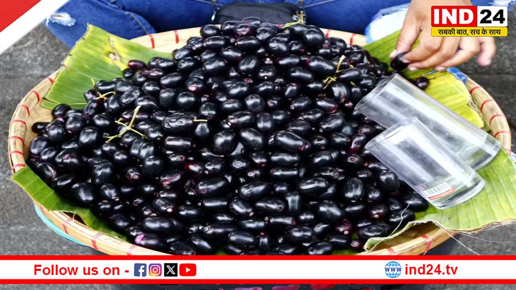 जामुन की जड़ों का खुलासा, 8 करोड़ साल पुरानी भारतीय विरासत ने बदली वैज्ञानिक सोच