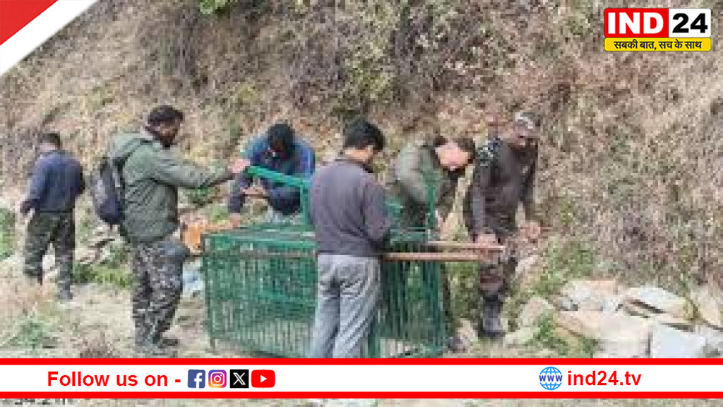 मानव-वन्यजीव संघर्ष पर सख्ती: पोखड़ा में गुलदार को पकड़ने या नष्ट करने के आदेश