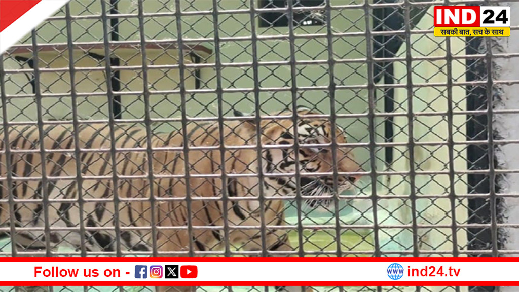 अलीपुर चिड़ियाघर में गर्मी से निपटने की पूरी तैयारी, जानवरों के लिए खास इंतजाम