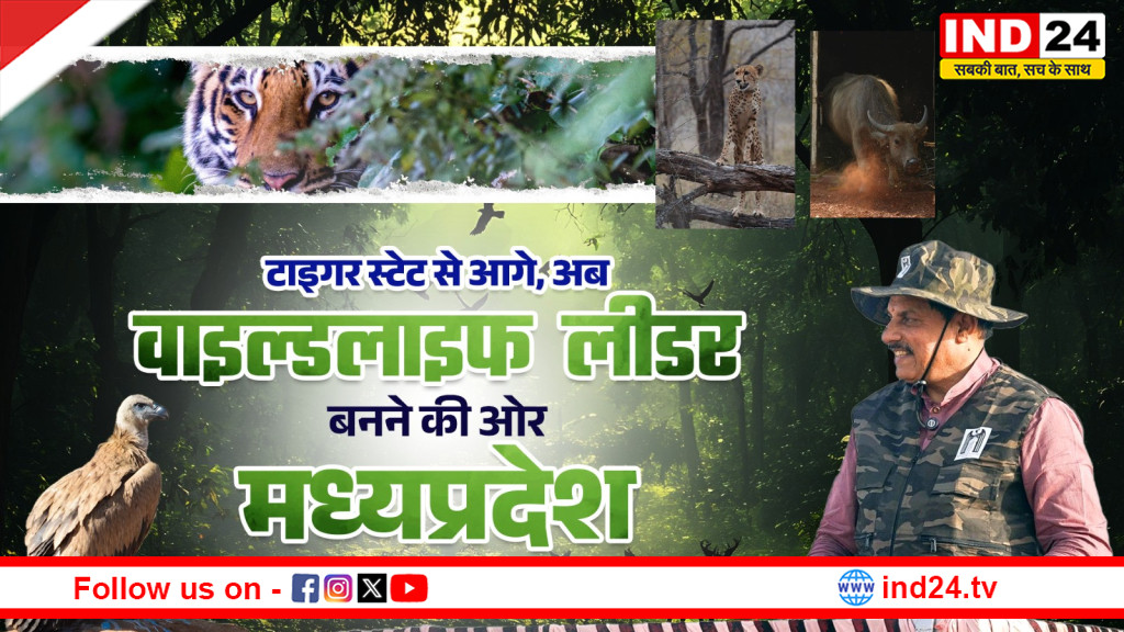 जंगल में दौड़ने को तैयार मादा चीता, एमपी को अब ‘वाइल्डलाइफ लीडर’ बनाने में जुटे सीएम डॉ. मोहन यादव