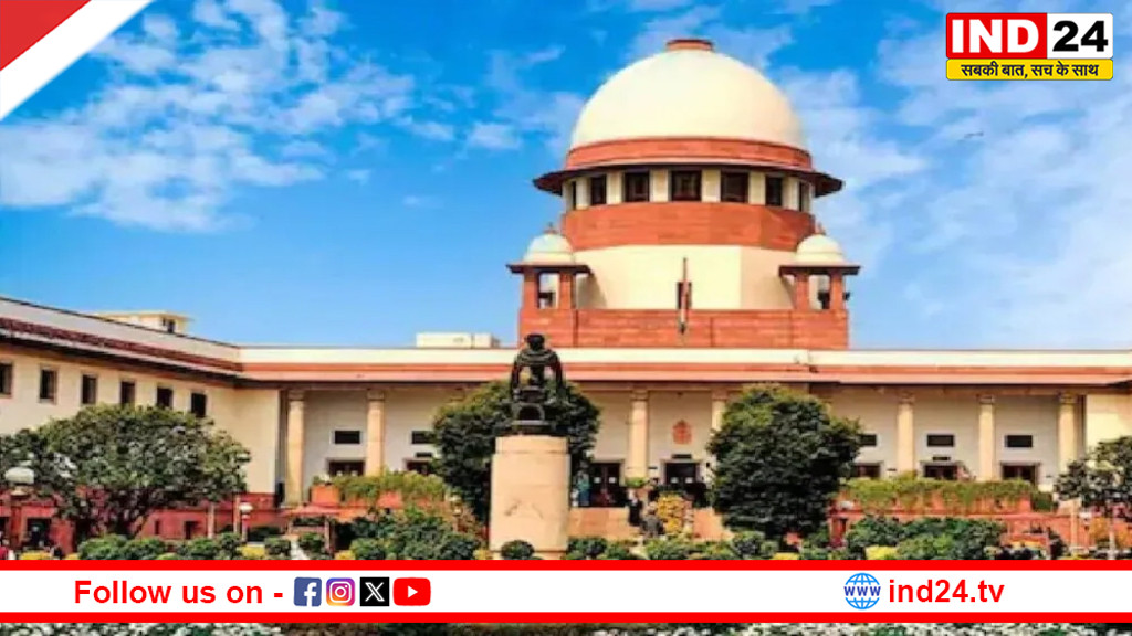 आवारा कुत्तों के मामले में सुप्रीम कोर्ट आज सुनाएगा फैसला, डॉग फीडर्स की जिम्मेदारी पर भी हो सकती है टिप्पणी