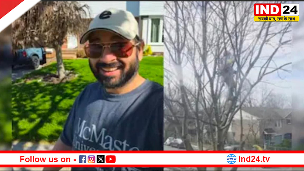 कनाडा में पेड़ काटने के 1 घंटे के मिले 49 हजार रुपये, भारतीय युवक का खुलासा वायरल