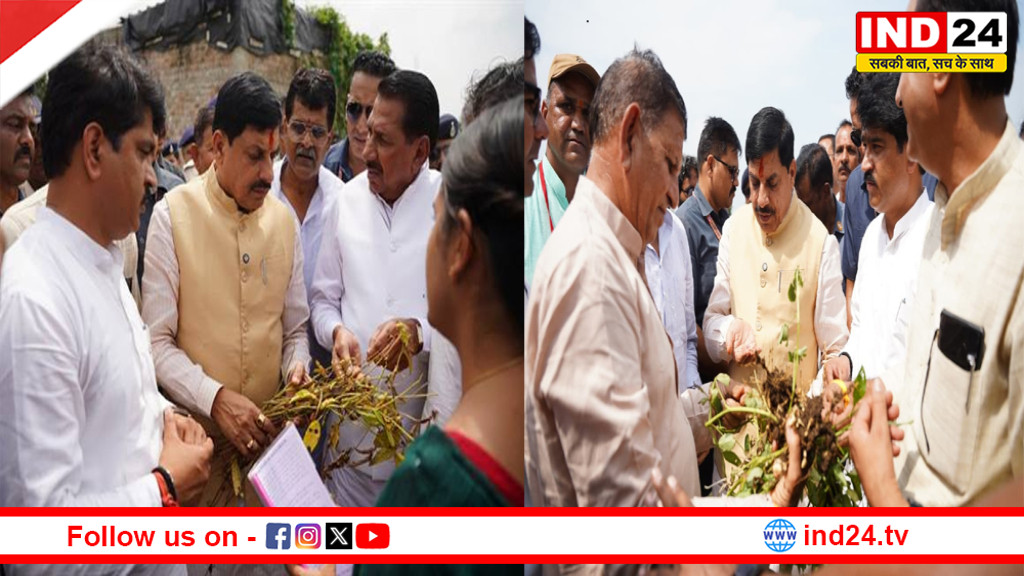 MP News: अगले 5 साल तक जारी रहेगी प्रधानमंत्री फसल बीमा योजना, कैबिनेट ने 11,608 करोड़ रुपये किए मंजूर