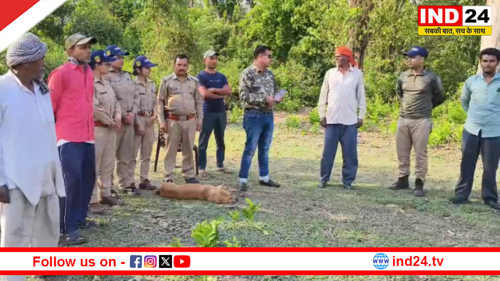 लालकुआँ में हाथी का आतंक जारी, मानव-वन्यजीव संघर्ष में बढ़ी घटनाएँ, वन विभाग ने बढ़ाई गश्त