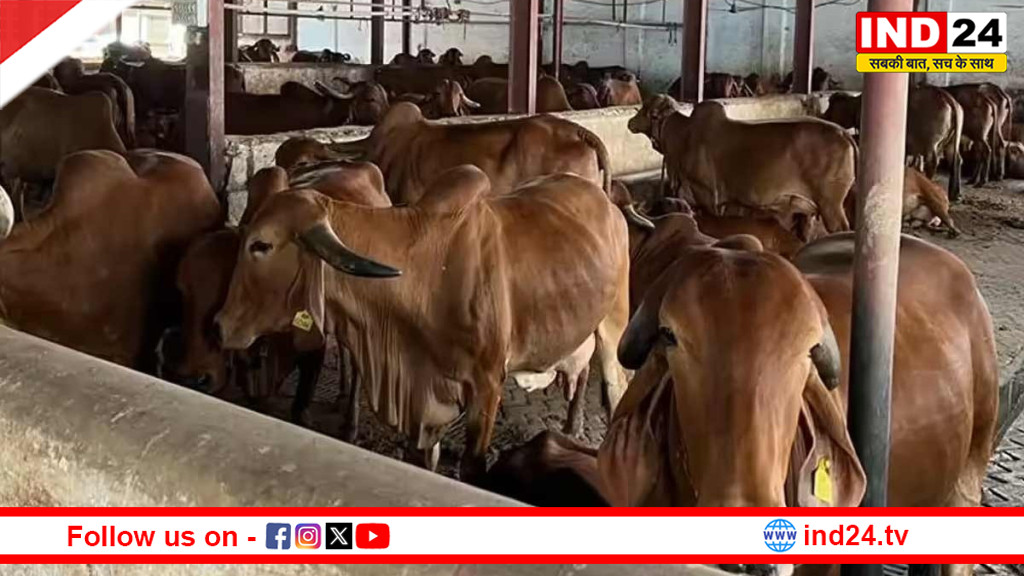 सरकारी पाबंदी से वीरान हुआ इलामबाज़ार का 100 साल पुराना पशु हाट, कुर्बानी से पहले व्यापारियों पर टूटा मुसीबतों का पहाड़