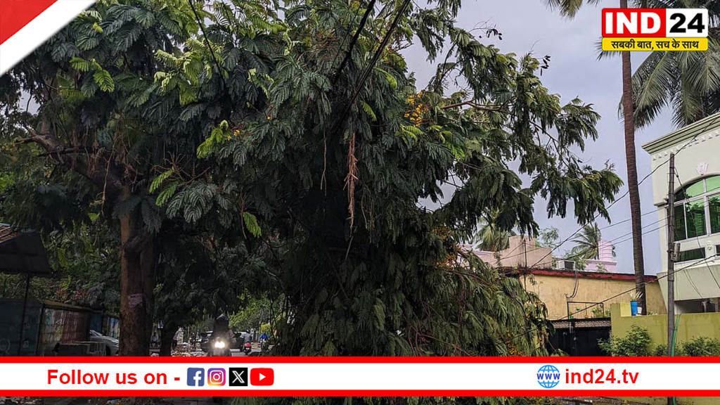 मई में मौसम का महातांडव! आंधी-तूफान ने मचाई तबाही, यूपी से दिल्ली तक दहशत में लोग
