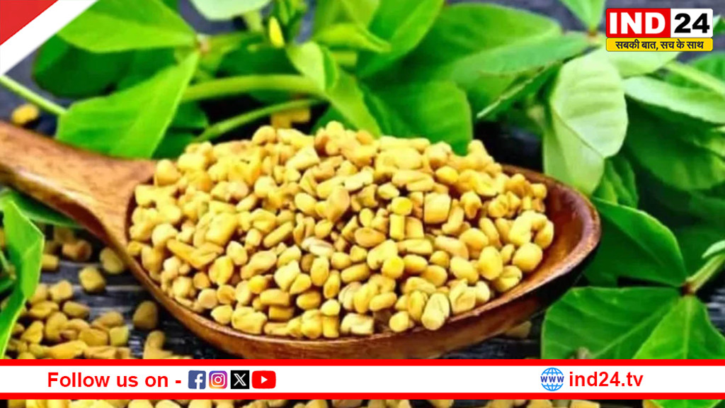 14 दिनों तक मेथी दाना खाने से क्या होता है? जानें इसके अद्भुत फायदे
