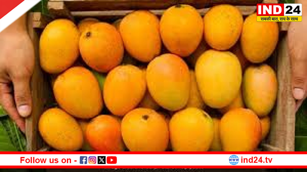 क्या ज्यादा आम खाने से शरीर में गर्मी बढ़ती है? जानें सही मात्रा और खाने का सही तरीका।