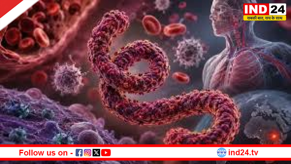 Ebola संकट के बीच भारत बना उम्मीद की किरण, वैक्सीन तैयार करने की दौड़ में सीरम इंस्टीट्यूट सबसे आगे