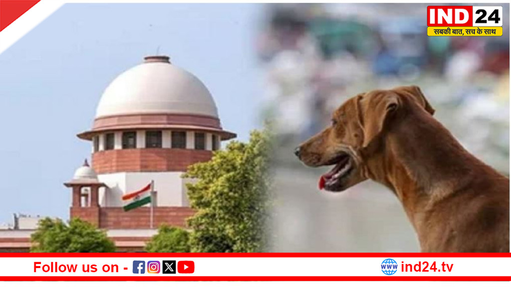 सुप्रीम कोर्ट का बड़ा फैसला: खतरनाक कुत्तों को मौत का इंजेक्शन देने का आदेश,लोगों की सुरक्षा को बताया सर्वोपरि