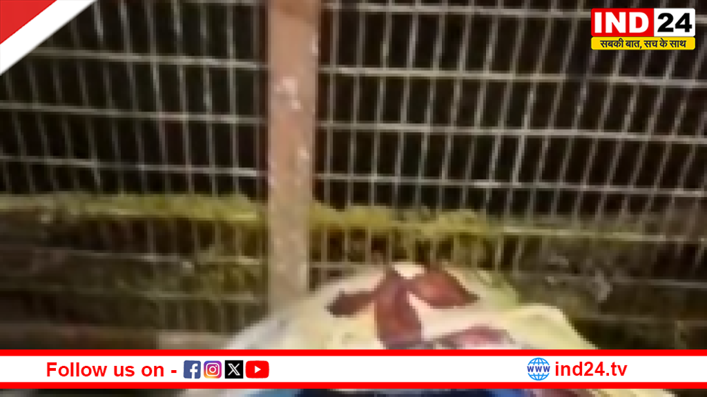 हरिद्वार: ज्वालापुर में गंगा में चिकन बिरयानी डालने का वायरल वीडियो, संतों ने कड़ी कार्रवाई की मांग की