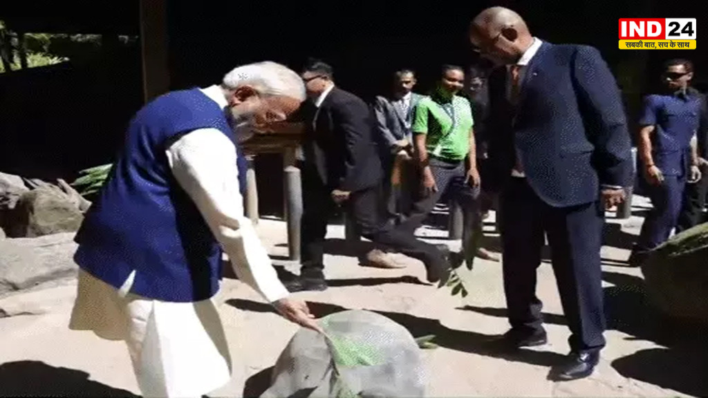 पीएम मोदी तीन दिवसीय दौरे पर सेशेल्स पहुंचे, राष्ट्रपति संग एल्डाब्रा कछुओं को खिलाईं पत्तियां