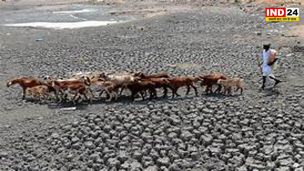 क्या सूखे की आहट है? 51°C की जानलेवा उमस से तपी राजधानी, कमजोर मानसून ने बढ़ाई खेती और अर्थव्यवस्था की चिंता
