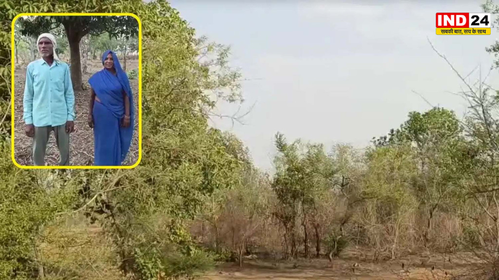 संतान का सपना अधूरा रहा, तो धरती को ही बना लिया परिवार! रीवा के दंपती ने 105 एकड़ बंजर भूमि को ‘प्रेम वन’ में बदला