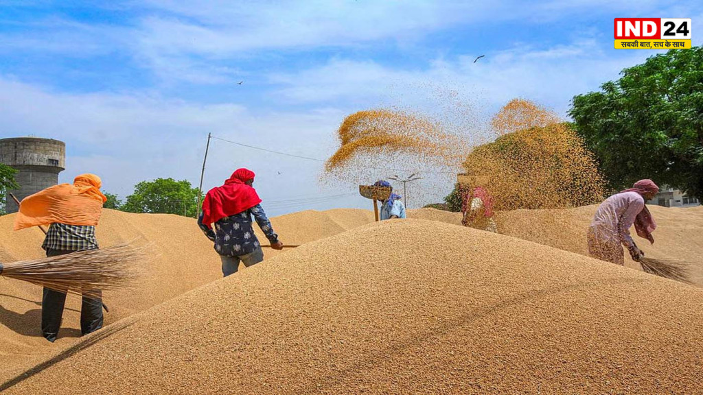 गेहूं खरीद में नया रिकॉर्ड: 3.5 करोड़ टन के पार पहुंची सरकारी खरीद, लक्ष्य से आगे निकला देश