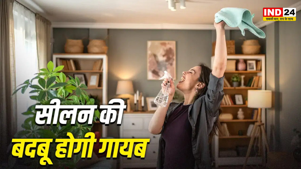 बारिश में घर से आती है सीलन और बदबू? ये 5 आसान उपाय मिनटों में कर देंगे कमरा फ्रेश, मेहमान भी पूछेंगे राज