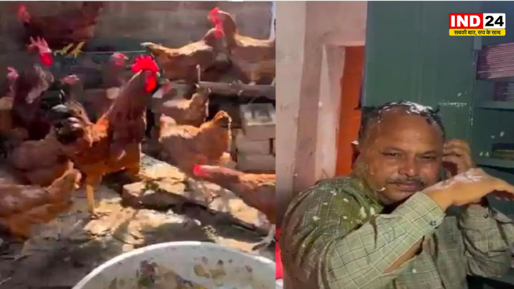 कटवा मे सरकारी योजनाओं की लूट का आरोप, तृणमूल नेता के घर से मुर्गियां और सिलाई मशीनें बरामद