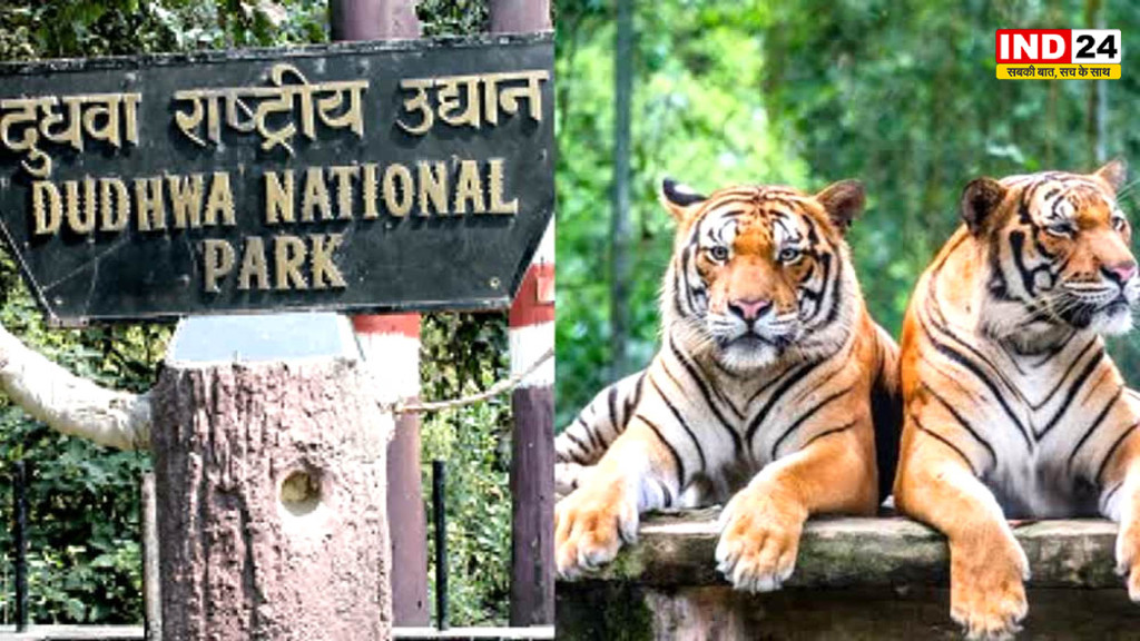 UP के सभी टाइगर रिजर्व का पर्यटन सत्र बढ़ा, अब 30 जून तक खुला रहेगा दुधवा समेत सभी रिजर्व
