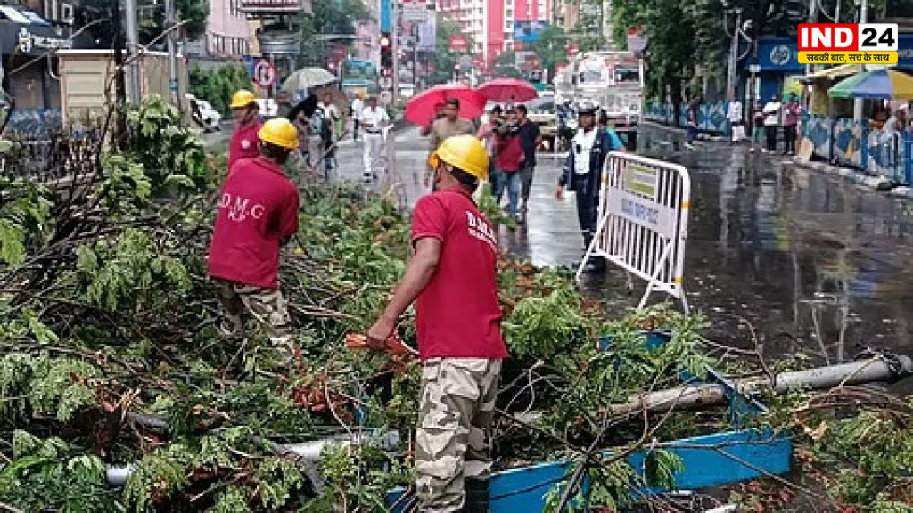 कोलकाता में भारी बारिश के साथ चली तेज आंधी, सेंट्रल एवेन्यू पर विशाल पेड़ गिरने से यातायात ठप, बिजली के तारों पर अटका पेड़