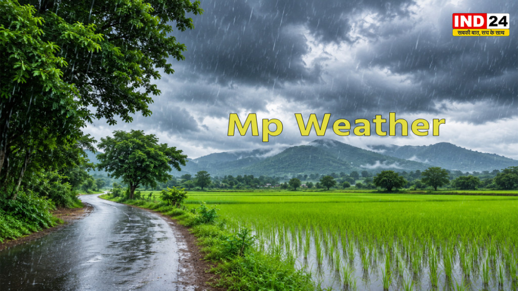 MP Weather Update: अब झमाझम बारिश से भीगेगा पूरा मध्य प्रदेश! बंगाल की खाड़ी में बन रहा सिस्टम, इन जिलों में सबसे पहले बरसेंगे बादल