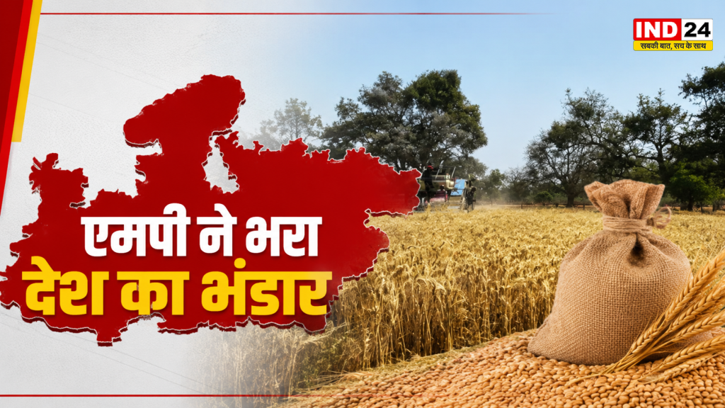 MP Agriculture: कृषि में MP की बड़ी छलांग! सरकारी अनाज भंडारण में देशभर में 5वां स्थान, जानिए किस राज्य ने मारी बाजी