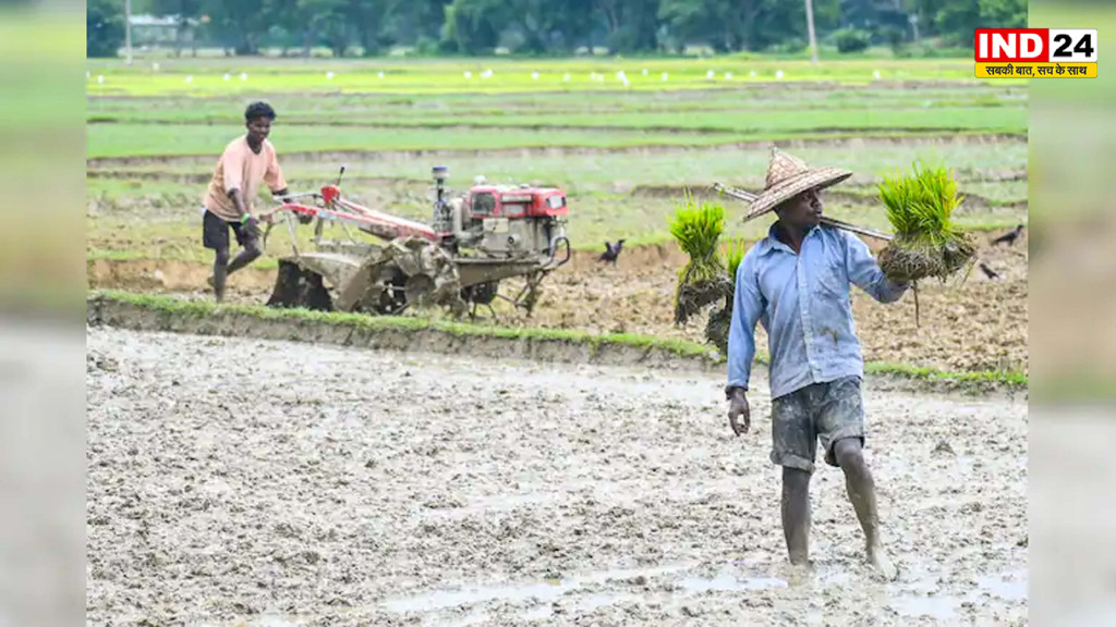 मानसून की सुस्त चाल से खेती पर संकट गहराया, 53.74 लाख हेक्टेयर में नहीं हो सकी खरीफ फसलों की बुआई