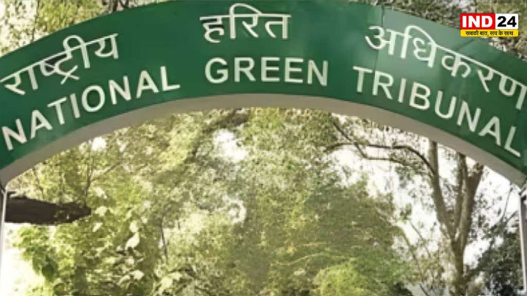 NGT का BHU पर बड़ा एक्शन, 33 पेड़ काटने के मामले में 2.65 करोड़ रुपये से अधिक का पर्यावरण मुआवजा वसूला जाएगा