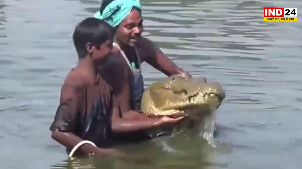130 साल तक गांव का सदस्य रहा मगरमच्छ 'गंगाराम', मौत पर नहीं जले चूल्हे, अब NCERT की किताबों में पढ़ाई जाएगी कहानी