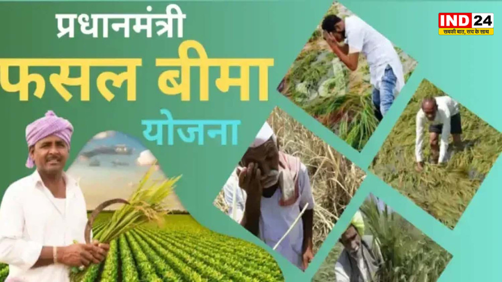 31 जुलाई से पहले कराए फसल बीमा, प्राकृतिक आपदाओं से आर्थिक सुरक्षा का सुनहरा अवसर