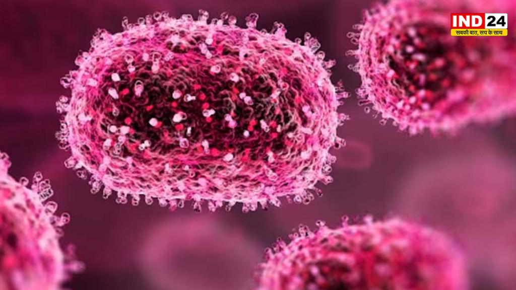 Chandipura Virus Alert: गुजरात में चांदीपुरा वायरस का बढ़ता खतरा, 150 संदिग्ध केस; 26 संक्रमित, 10 की मौत, बच्चों को सबसे ज्यादा खतरा