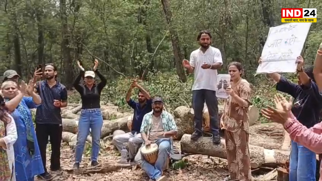 हाईवे परियोजना के लिए 3000 से अधिक पेड़ों की कटाई, पर्यावरण प्रेमियों का विरोध प्रदर्शन