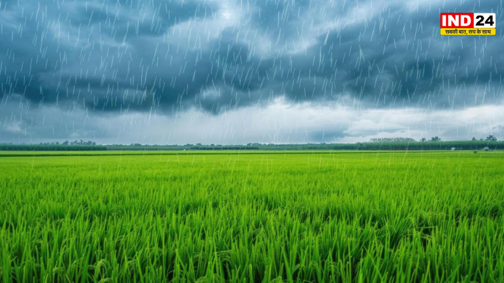 मानसून में सुधार से खरीफ बुवाई ने पकड़ी रफ्तार, फिर भी पिछले वर्ष से लगभग पांच प्रतिशत पीछे कृषि क्षेत्र