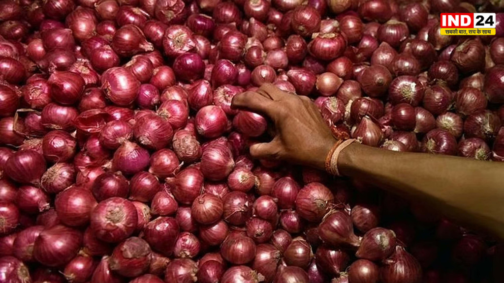 प्याज किसानों को सरकार की बड़ी सौगात! खरीद मूल्य में 13% की बढ़ोतरी, अब ₹2,125 प्रति क्विंटल पर होगी सरकारी खरीद