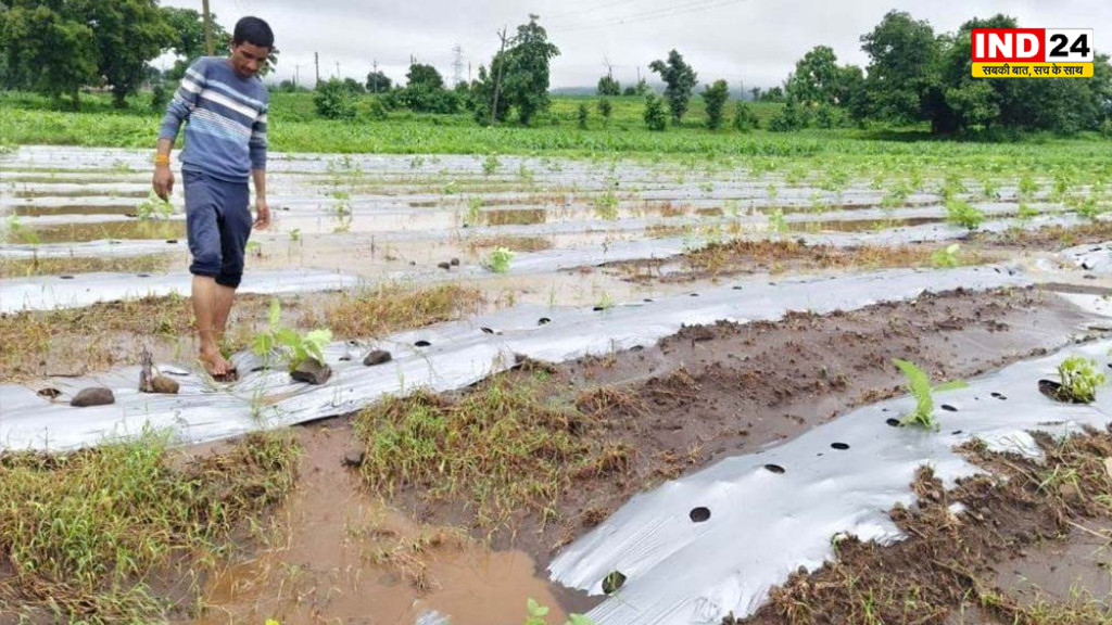 MP Weather Update: मालवा-निमाड़ में बारिश का कहर, ताप्ती नदी खतरे के निशान से ऊपर; कई जिलों में बाढ़ जैसे हालात